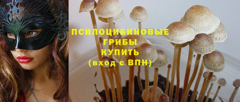 Псилоцибиновые грибы Psilocybine cubensis  MEGA ссылки  Иланский 